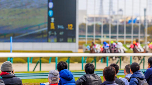 競馬　オッズとは