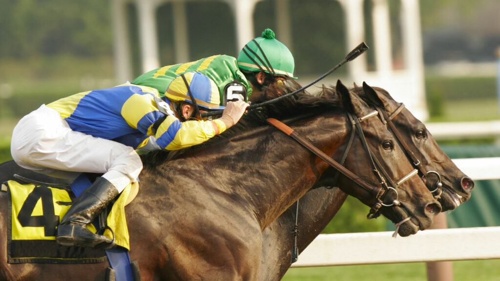 競馬単勝