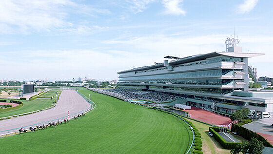 阪神競馬場 特徴